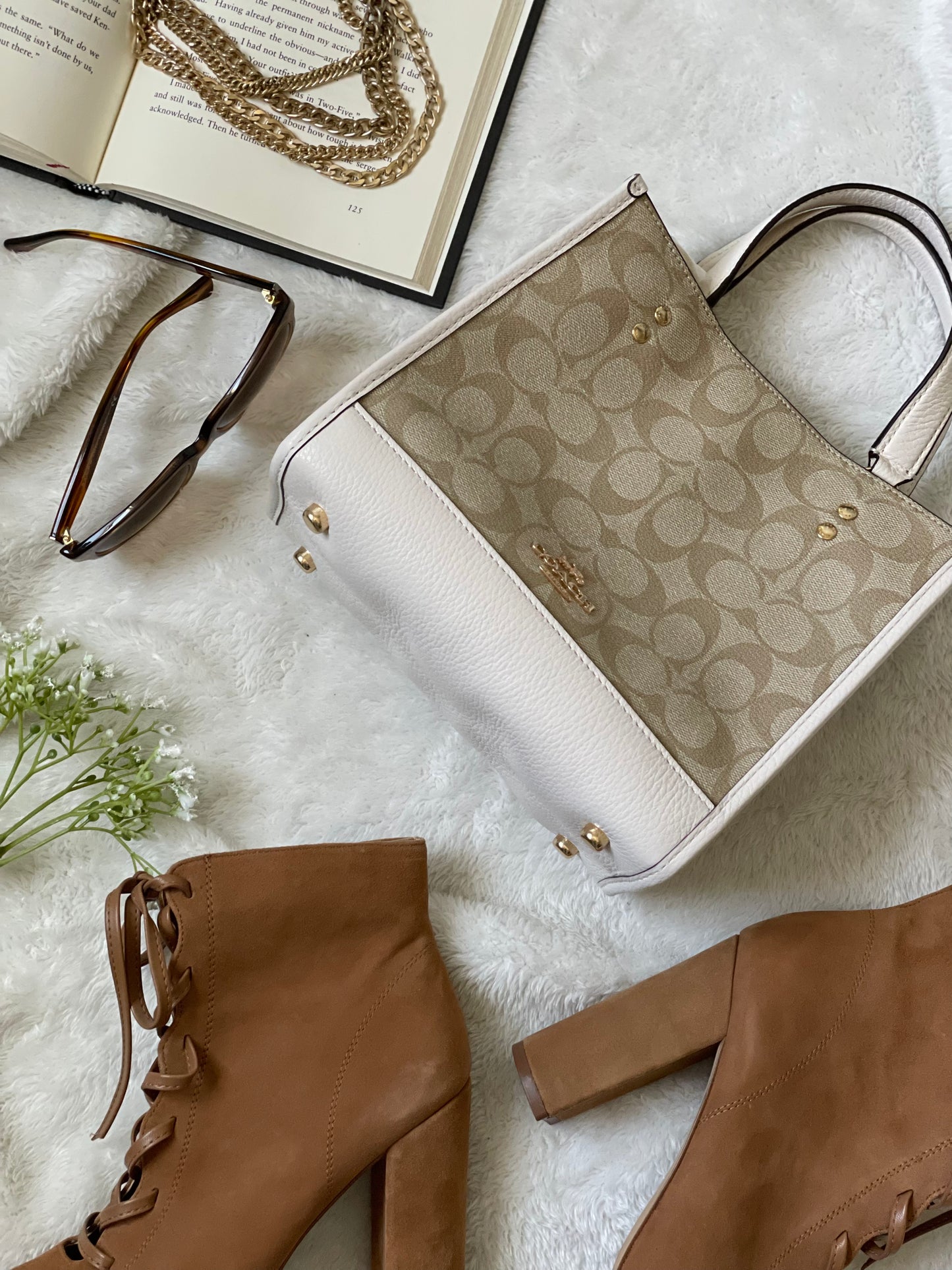 Coach Signature Dempsey Tote 22