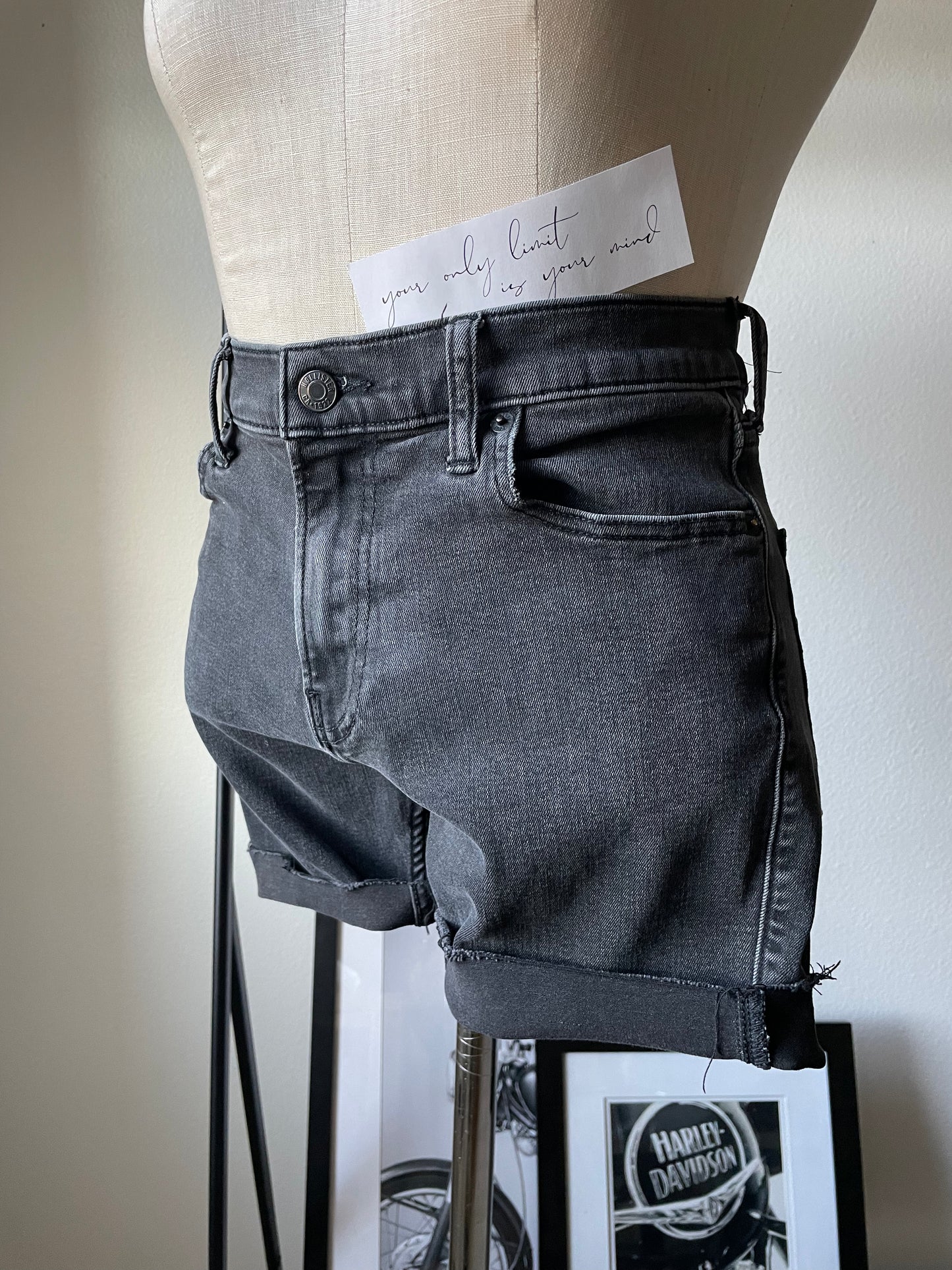 Hollister  Dark gray upcylced shorts. Size 32